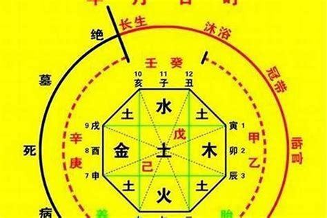 五行忌神|生辰八字喜忌神测算，在线八字测算